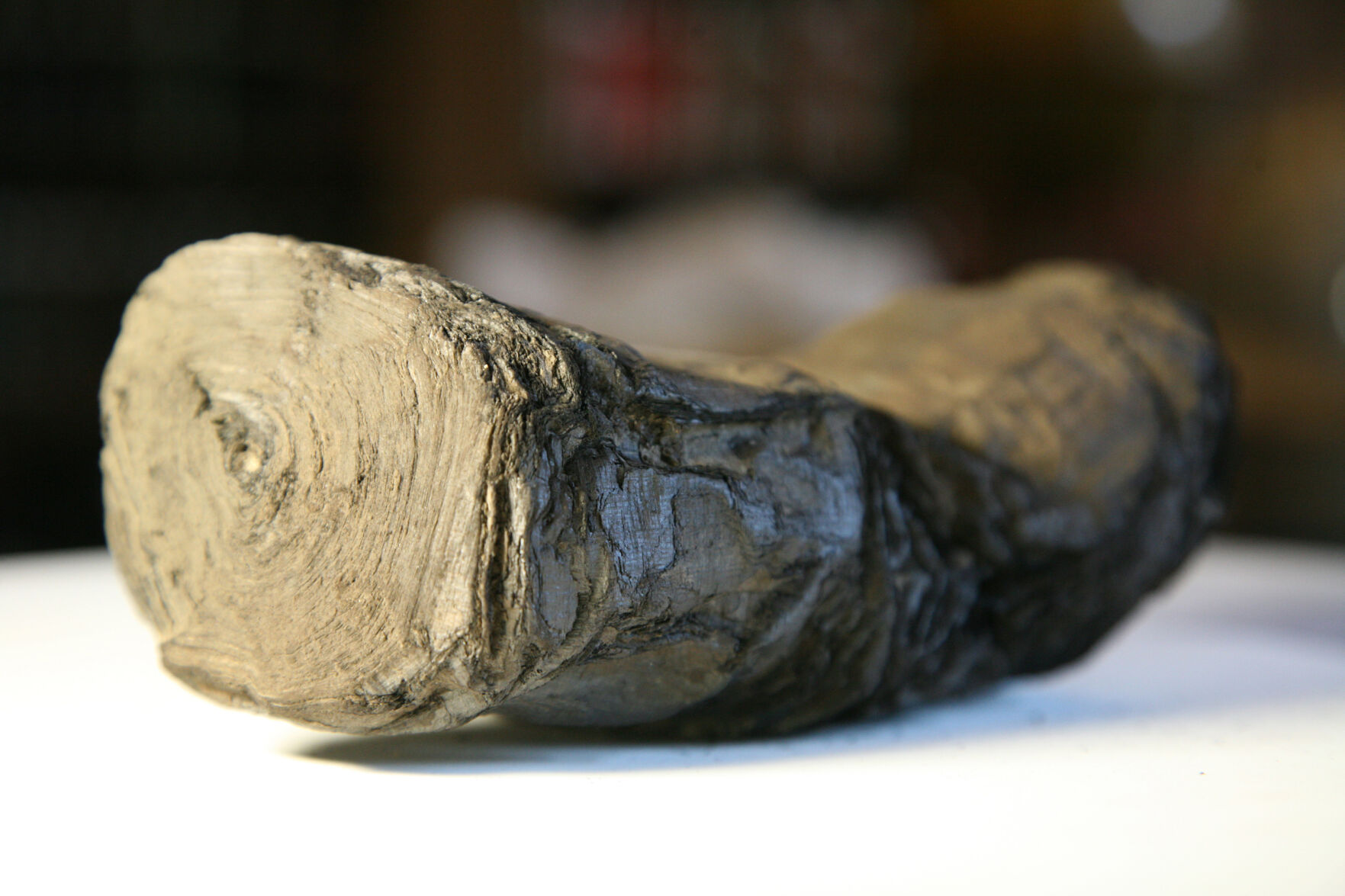 Herculaneum Scrolls